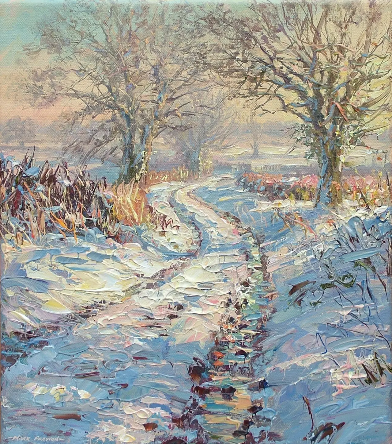 Mark Preston - snow covered track, brailsford